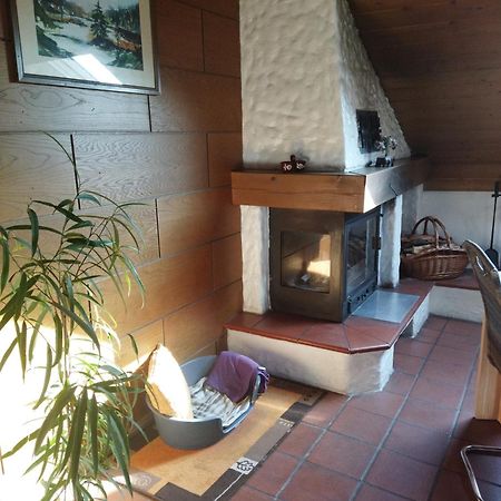 Aussergewoehnliche Atelierferienwohnung Mit Balkon An Der Donau Winzer Екстериор снимка