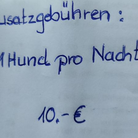 Aussergewoehnliche Atelierferienwohnung Mit Balkon An Der Donau Winzer Екстериор снимка