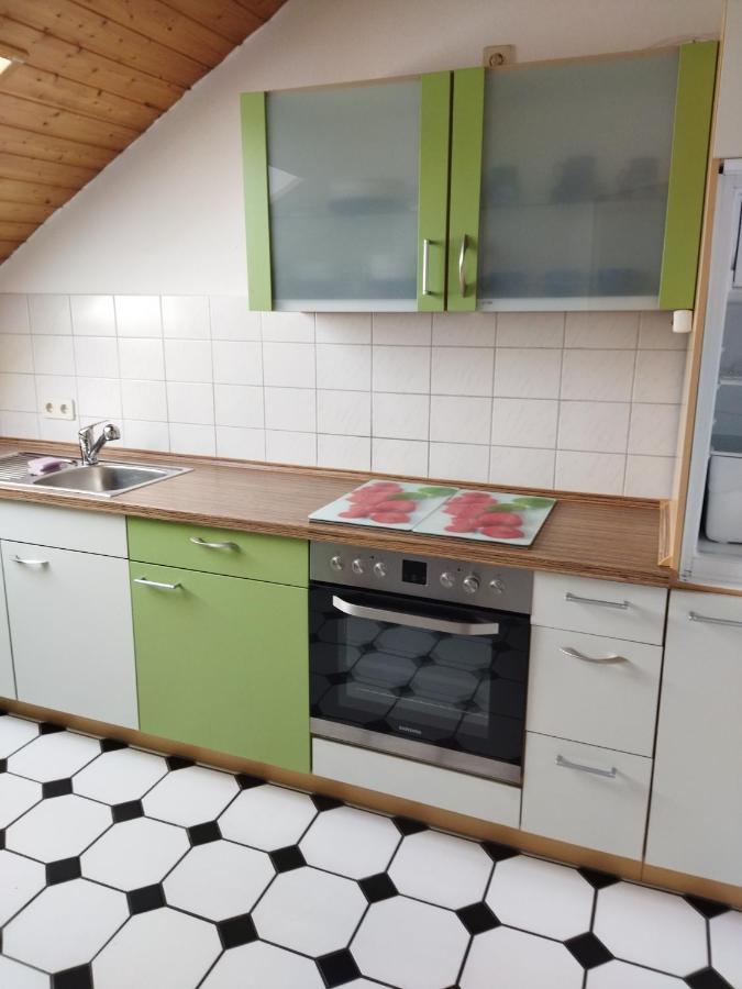 Aussergewoehnliche Atelierferienwohnung Mit Balkon An Der Donau Winzer Екстериор снимка