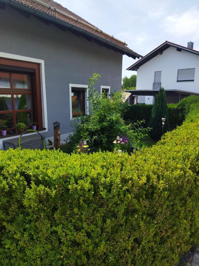 Aussergewoehnliche Atelierferienwohnung Mit Balkon An Der Donau Winzer Екстериор снимка