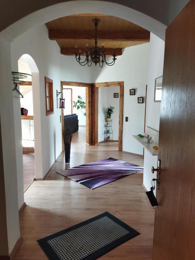 Aussergewoehnliche Atelierferienwohnung Mit Balkon An Der Donau Winzer Екстериор снимка