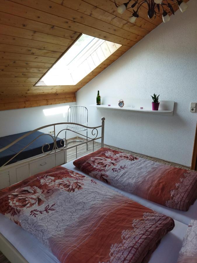 Aussergewoehnliche Atelierferienwohnung Mit Balkon An Der Donau Winzer Екстериор снимка