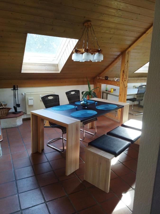 Aussergewoehnliche Atelierferienwohnung Mit Balkon An Der Donau Winzer Екстериор снимка
