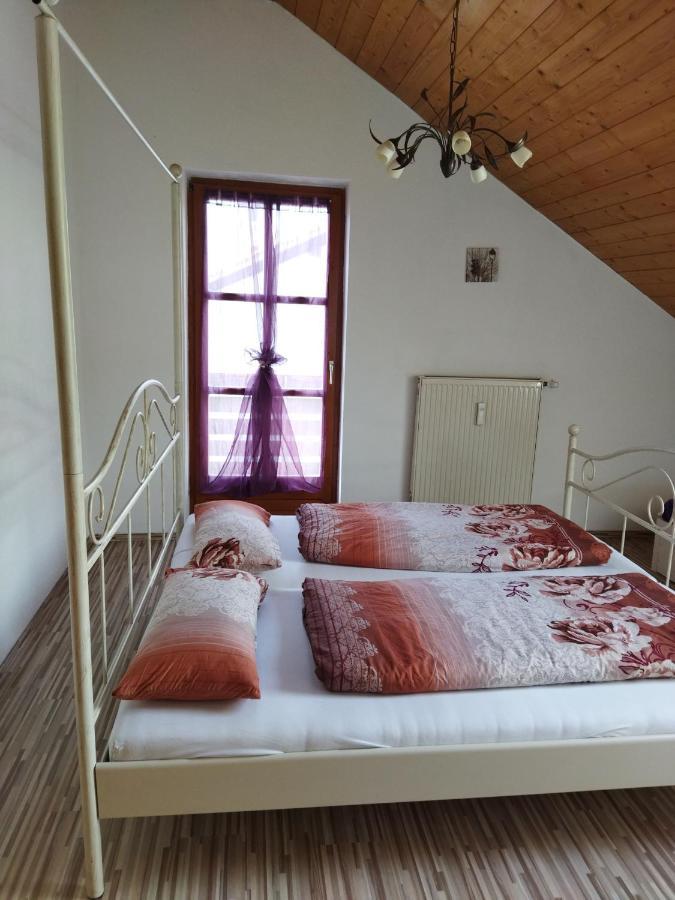 Aussergewoehnliche Atelierferienwohnung Mit Balkon An Der Donau Winzer Екстериор снимка