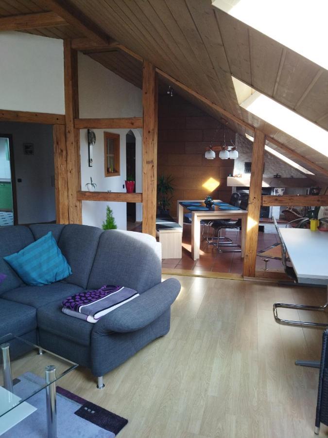 Aussergewoehnliche Atelierferienwohnung Mit Balkon An Der Donau Winzer Екстериор снимка