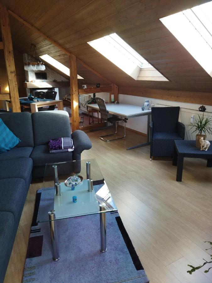 Aussergewoehnliche Atelierferienwohnung Mit Balkon An Der Donau Winzer Екстериор снимка