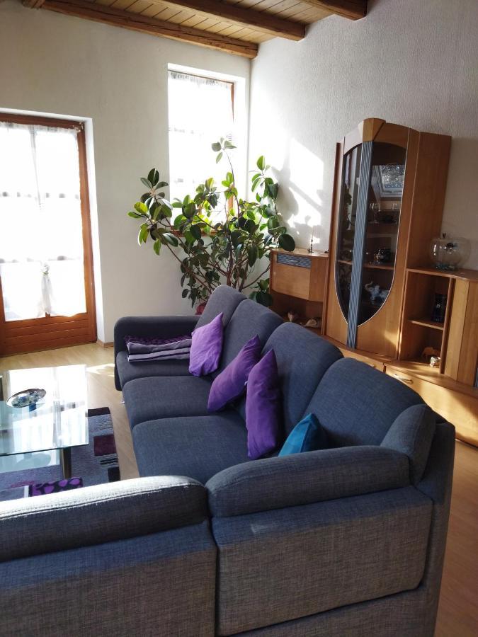 Aussergewoehnliche Atelierferienwohnung Mit Balkon An Der Donau Winzer Екстериор снимка