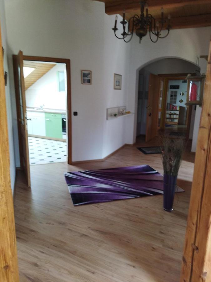 Aussergewoehnliche Atelierferienwohnung Mit Balkon An Der Donau Winzer Екстериор снимка