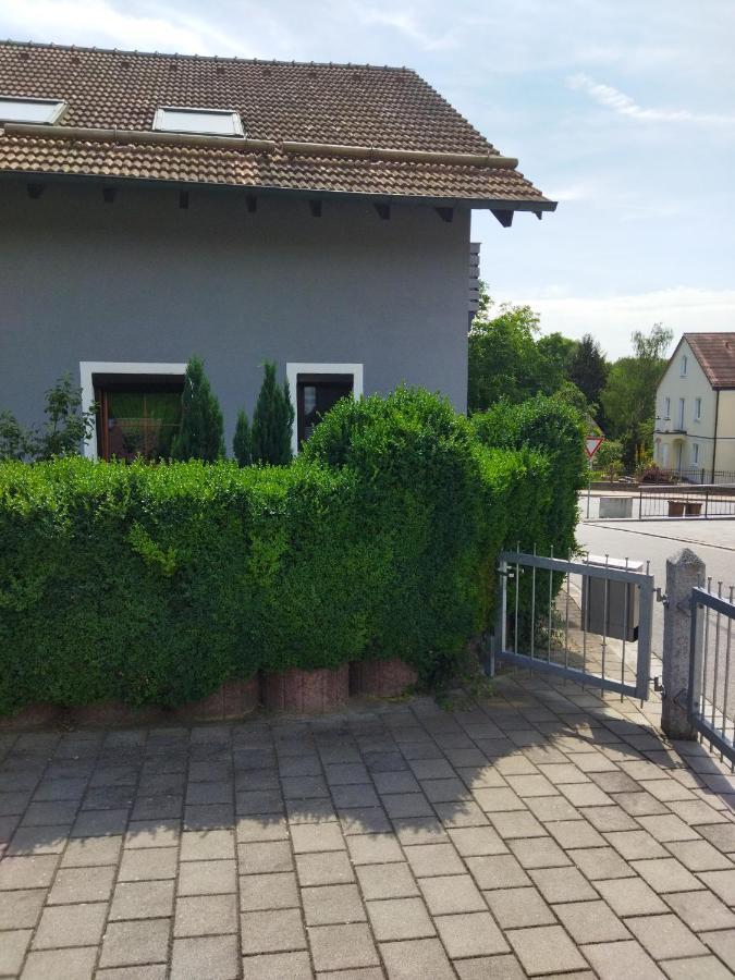 Aussergewoehnliche Atelierferienwohnung Mit Balkon An Der Donau Winzer Екстериор снимка