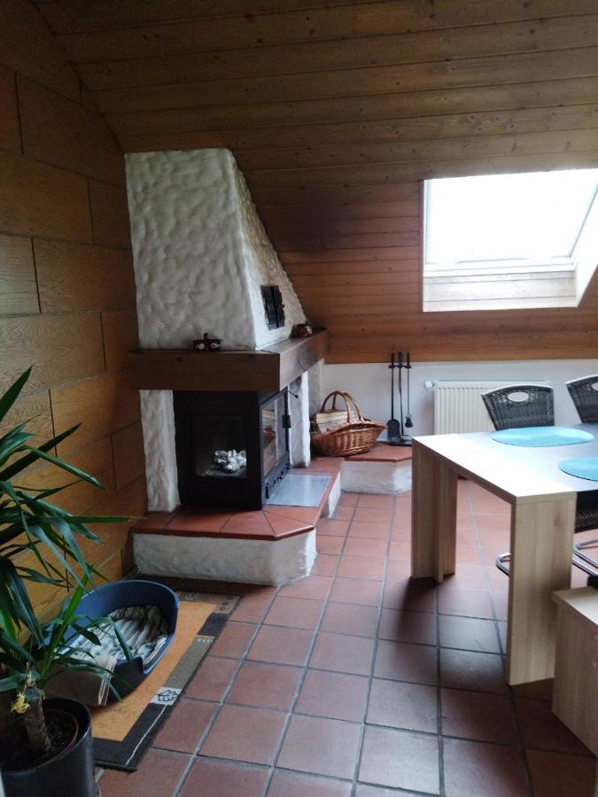 Aussergewoehnliche Atelierferienwohnung Mit Balkon An Der Donau Winzer Екстериор снимка