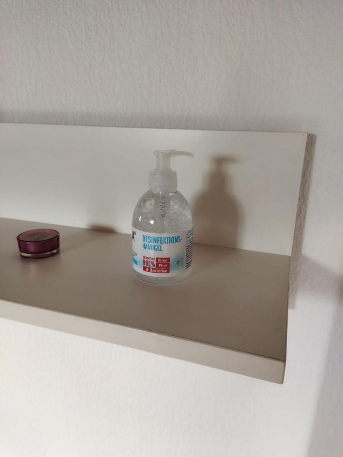 Aussergewoehnliche Atelierferienwohnung Mit Balkon An Der Donau Winzer Екстериор снимка