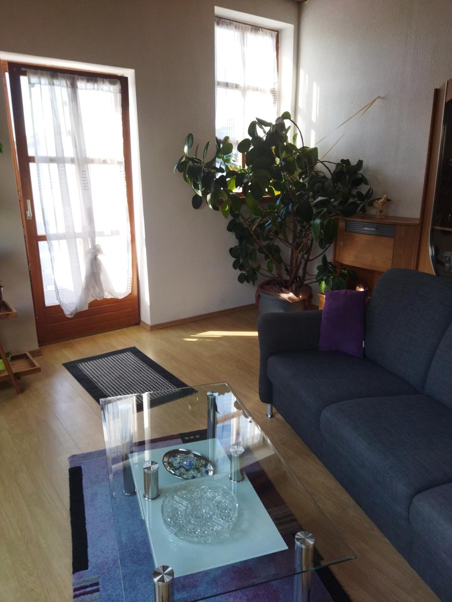 Aussergewoehnliche Atelierferienwohnung Mit Balkon An Der Donau Winzer Екстериор снимка