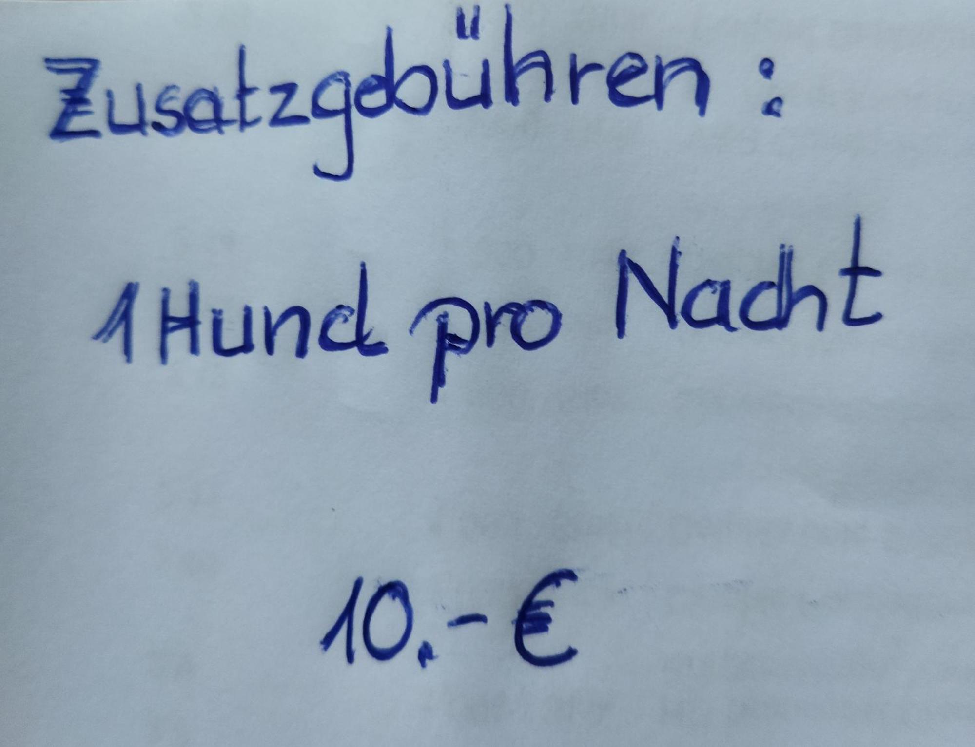 Aussergewoehnliche Atelierferienwohnung Mit Balkon An Der Donau Winzer Екстериор снимка